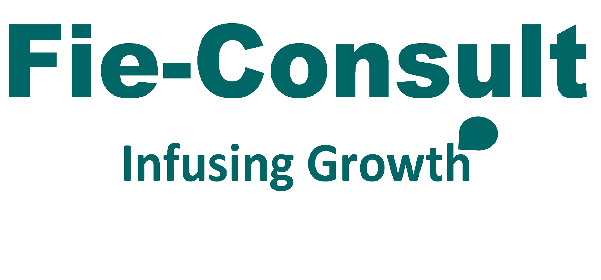 Fie Consult